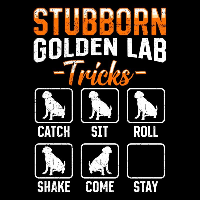 Labrador Stur STUBBORN GOLDEN LAB TRICKS Labrador