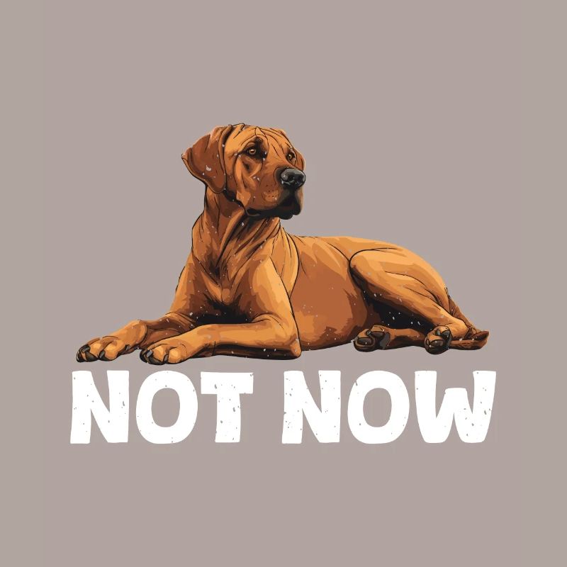 Rhodesian Ridgeback NOT NOW Hundebesitzer