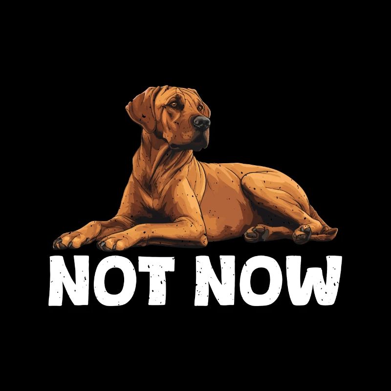 Rhodesian Ridgeback NOT NOW Hundebesitzer