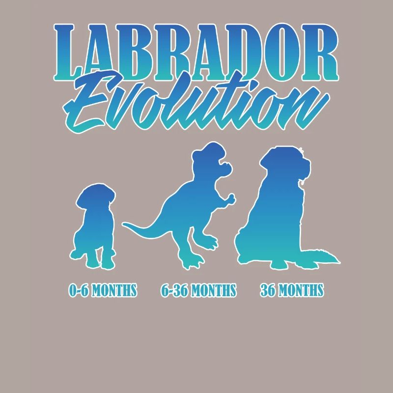 LABRADOR EVOLUTION Labrador Propriétaire Drôle