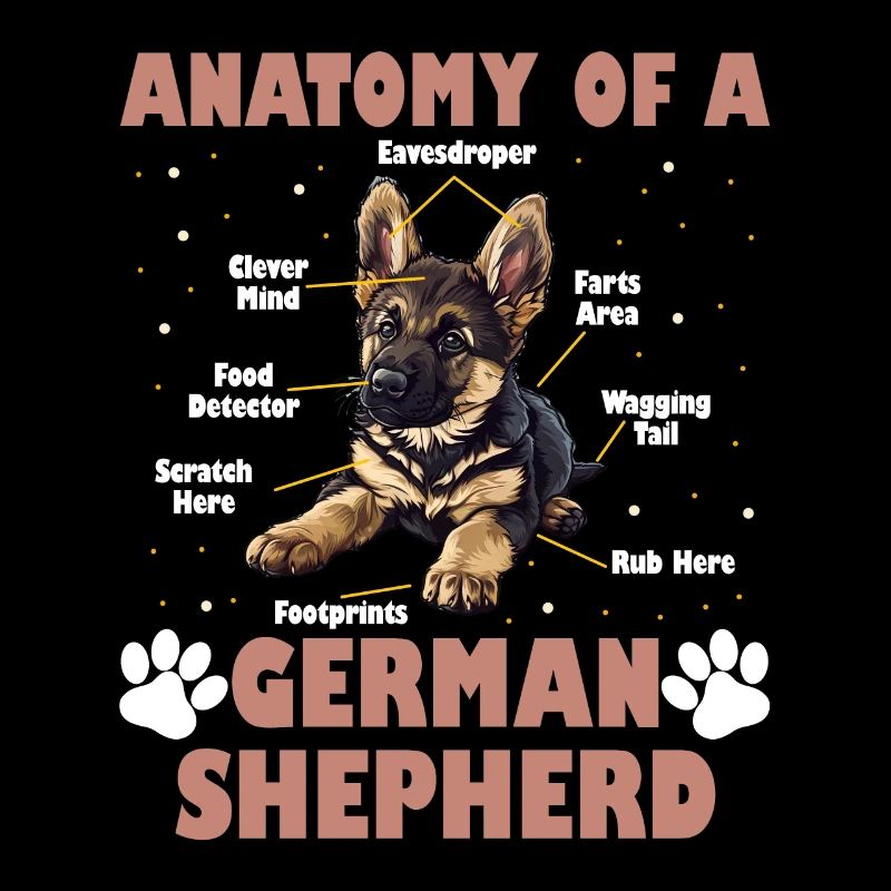 Hundebesitzer ANATOMIE DES DEUTSCHEN SCHÄFERHUNDES