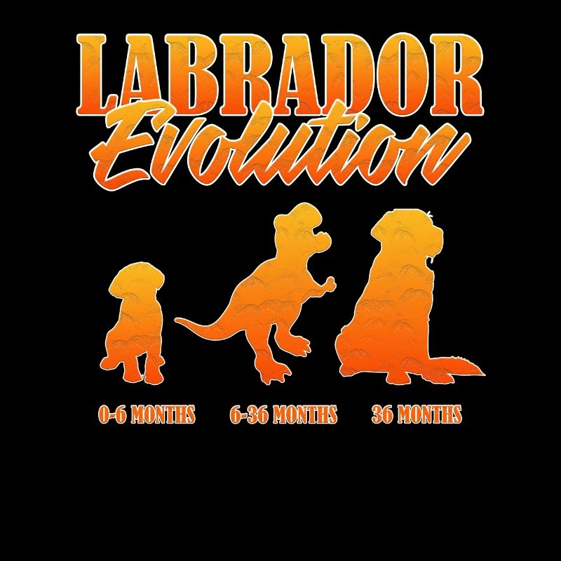 LABRADOR EVOLUTION Labrador Besitzer Lustiges