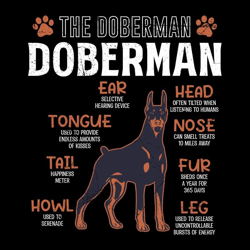 DOBERMAN Bauplan Lustiges Doberman Hundebesitzer
