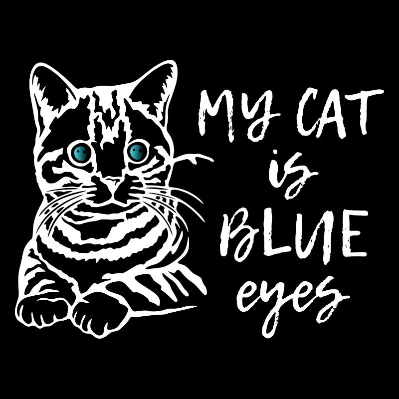 My Cat is Blue Eyes