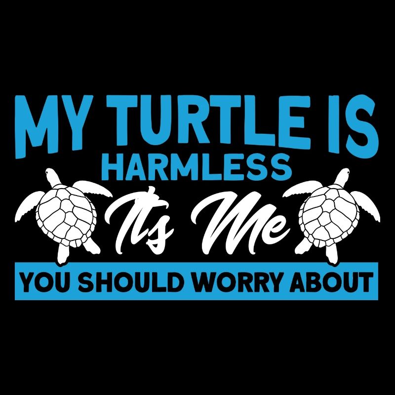 Sea turtles Turtle keeping Sea shell