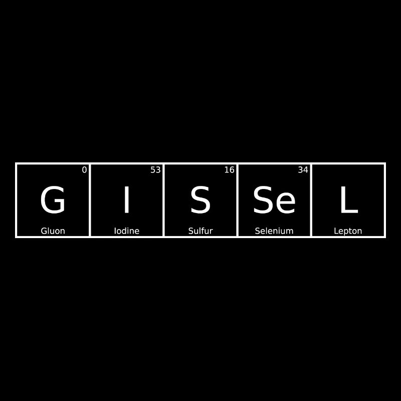 Gissel Name First Name Chemistry Periodic Table Elements