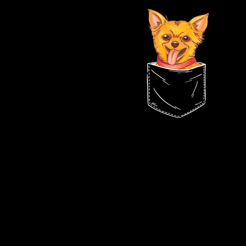 Chihuahua Hund