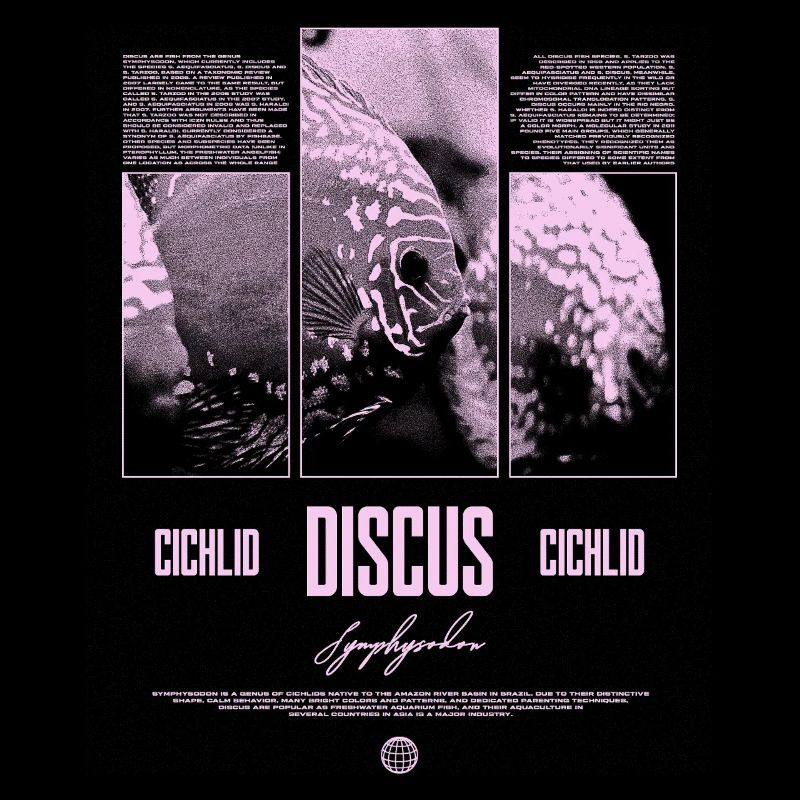 Discus Cichlidé Aquarium Fish Keeper