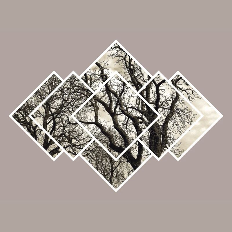 Tree Pattern