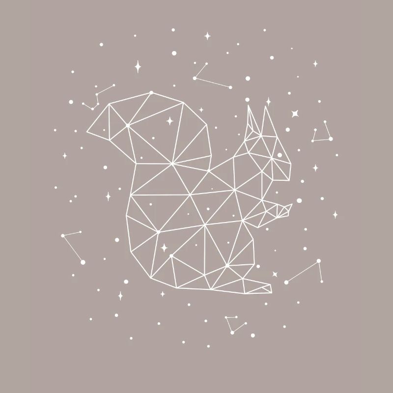 Sternbild Squirrel Constellation Squirrel