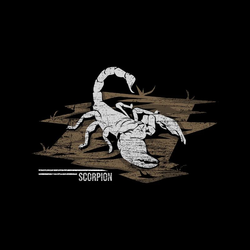 Scorpio arachnids spider zodiac gift