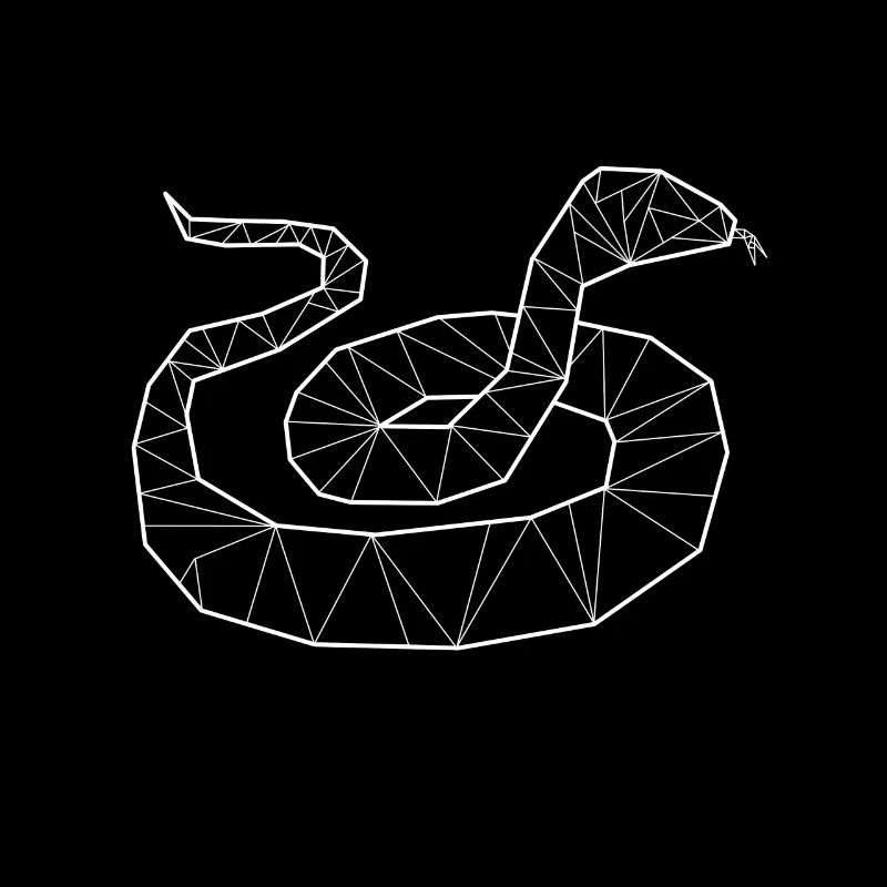 Python géométrique