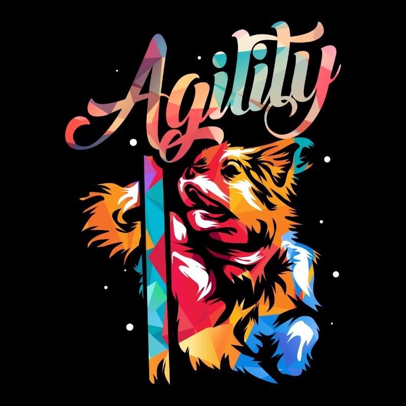 Hunde Agility