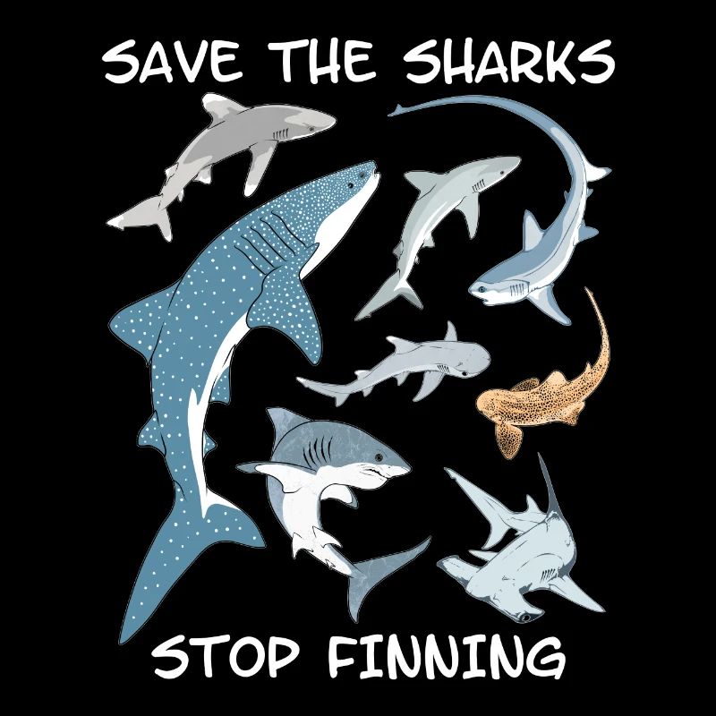 Types de requins Espèces de requins