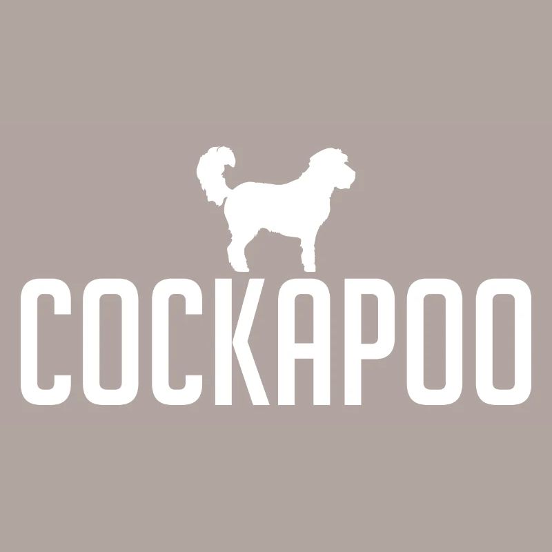 Cockapoo Hunderasse Hunde Hund Wilsigns