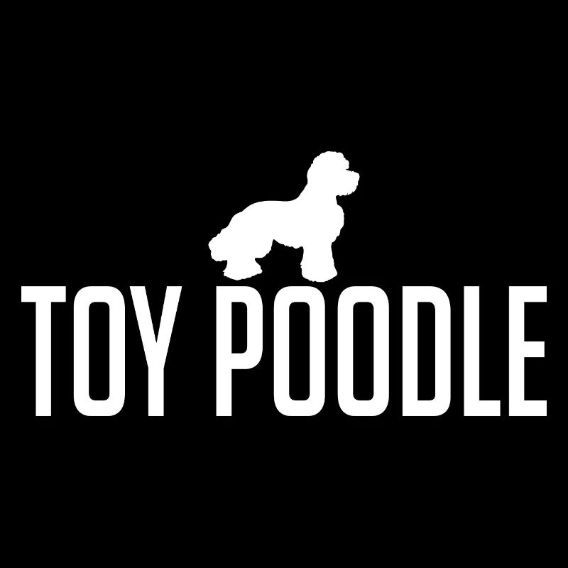 Toy Poodle Hunderasse Hund Hunde Wilsigns