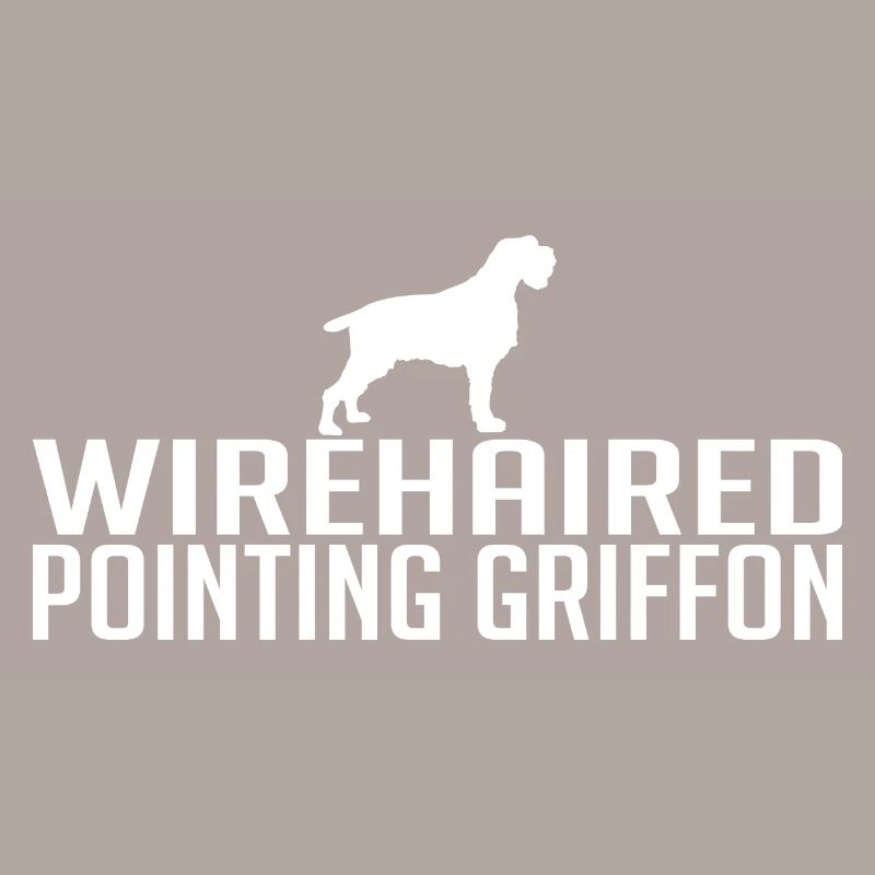 Wirehaired Pointing Griffon Hunderasse Hunde