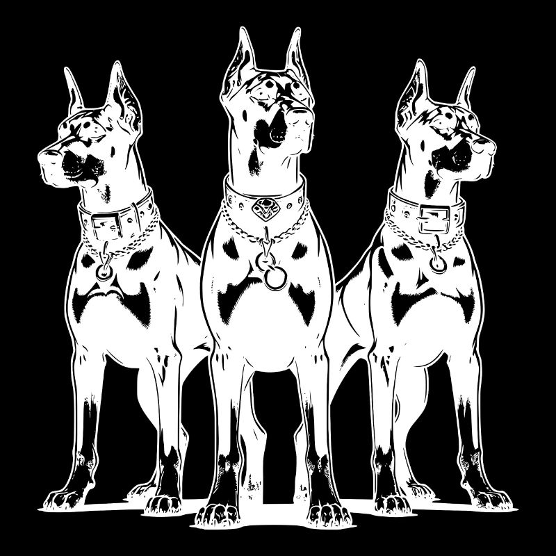 Three Dobermans dogs alert and attentive