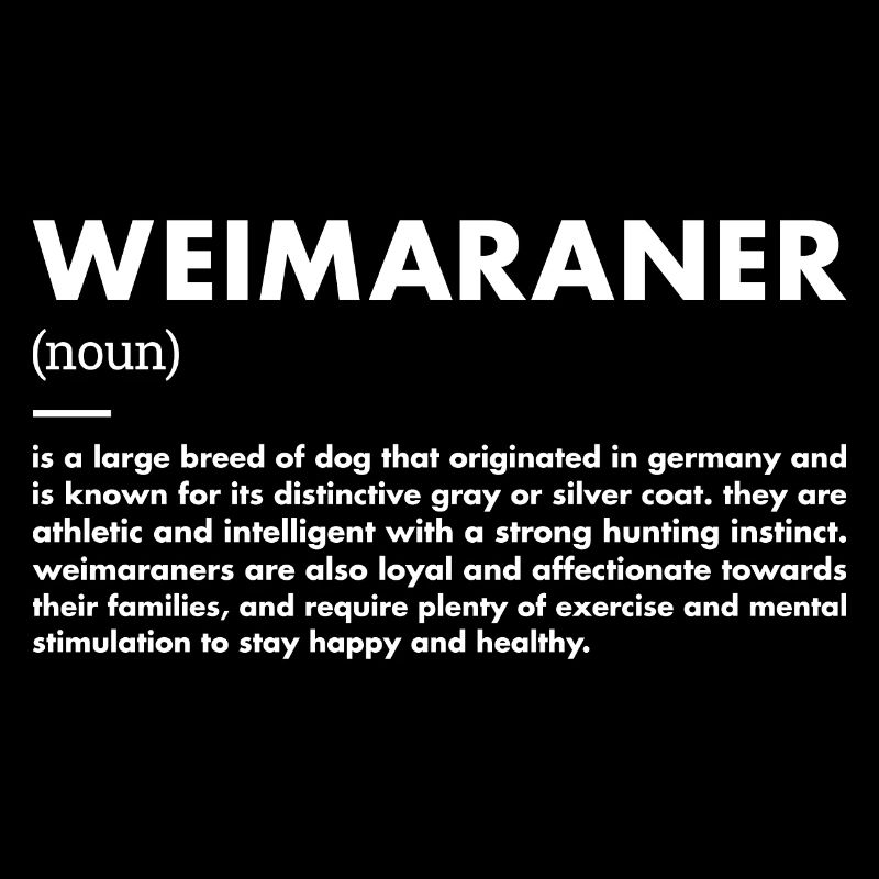 Weimaraner Definition
