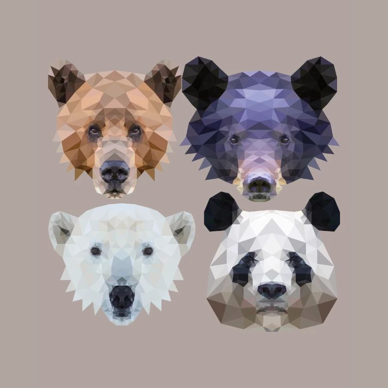 Polygon Bear Brown Bear Black Bear Polar Bear Panda Bear