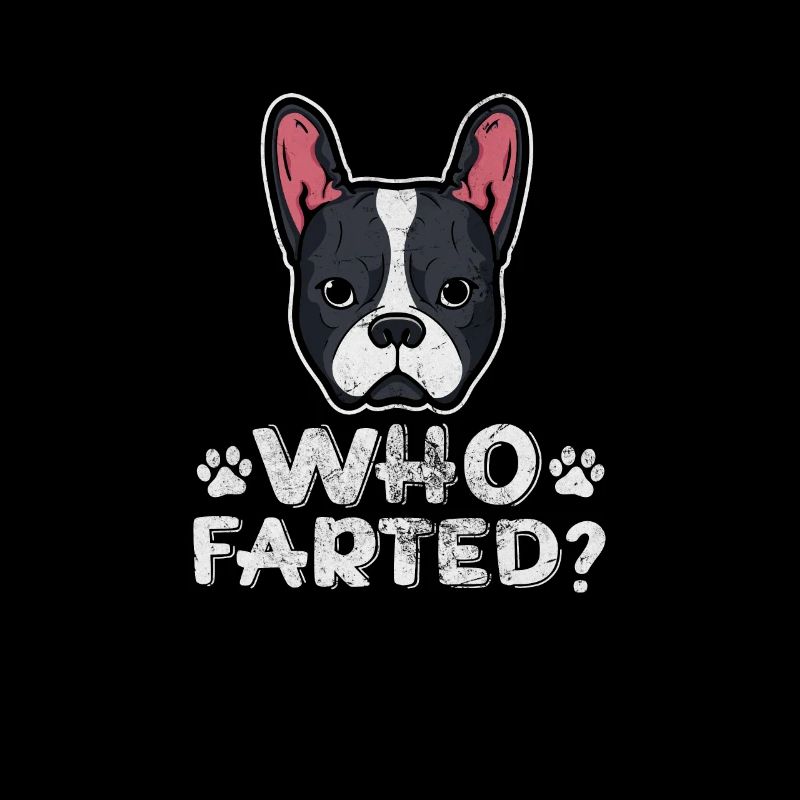 Boston Terrier