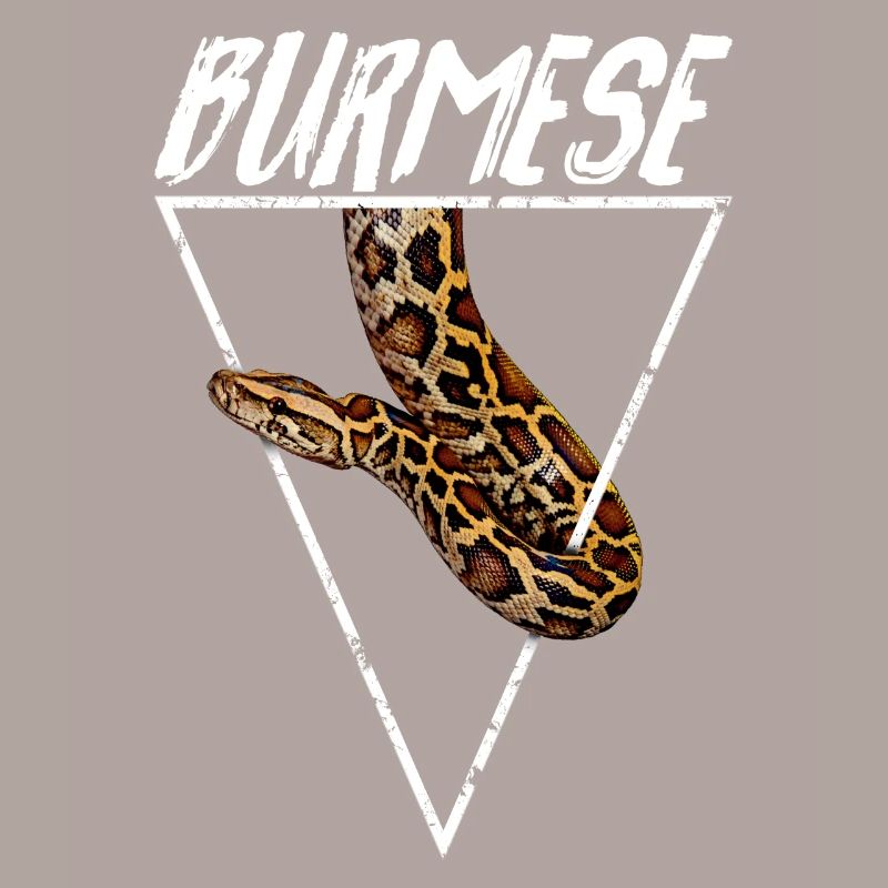 Propriétaire Python Birman Géométrique