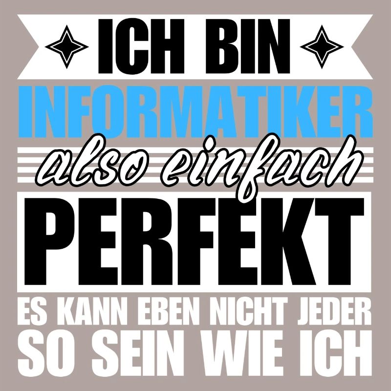 Perfekter Informatiker