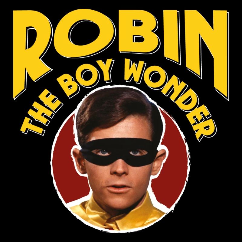 DC Comics Batman Robin Rétro The Boy Wonder