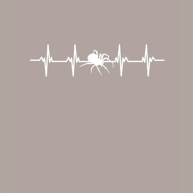 Spiders Spider web web arachnid legs 8 spider