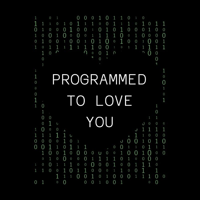 Developer Coder Programmer