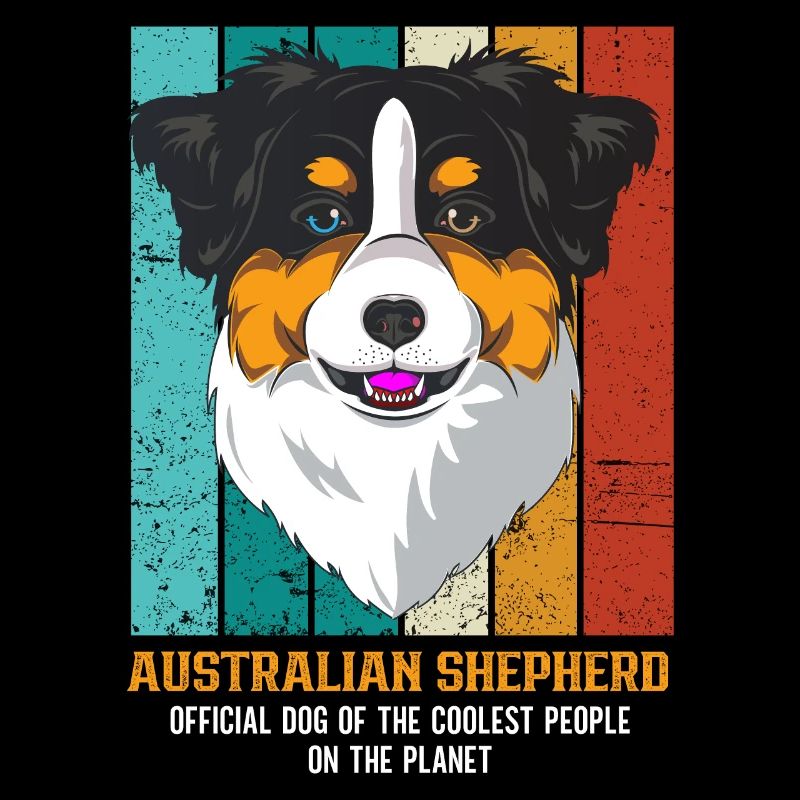 Australischer Schäferhund Aussie Dad Aussie Mom