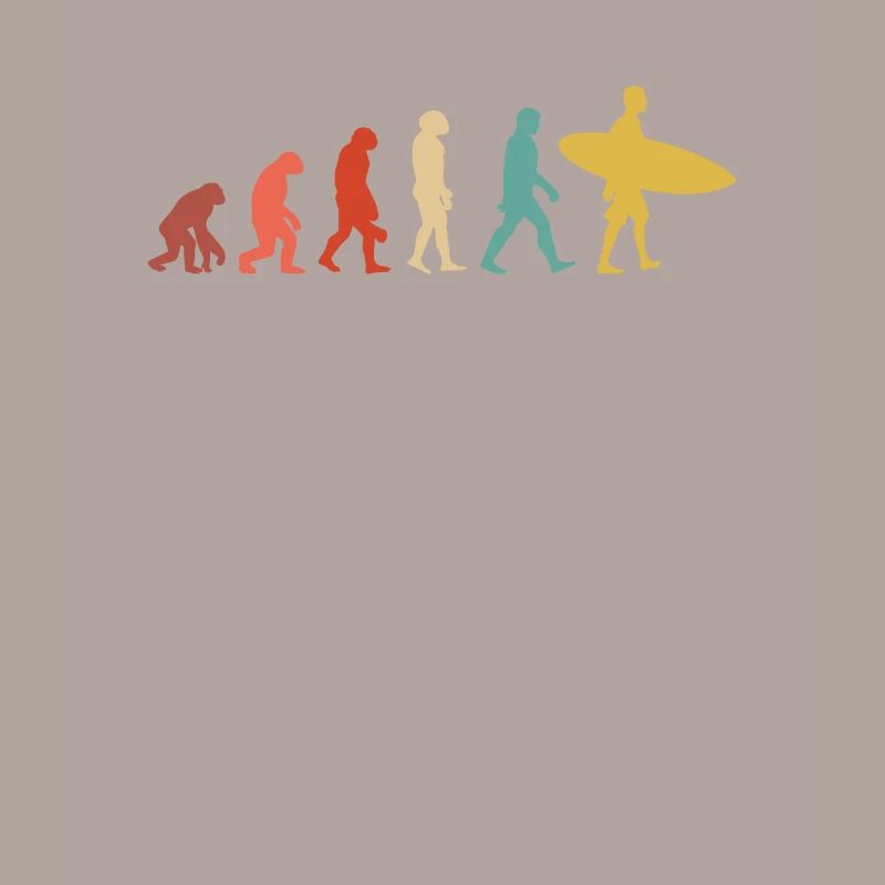 Évolution Du Surf