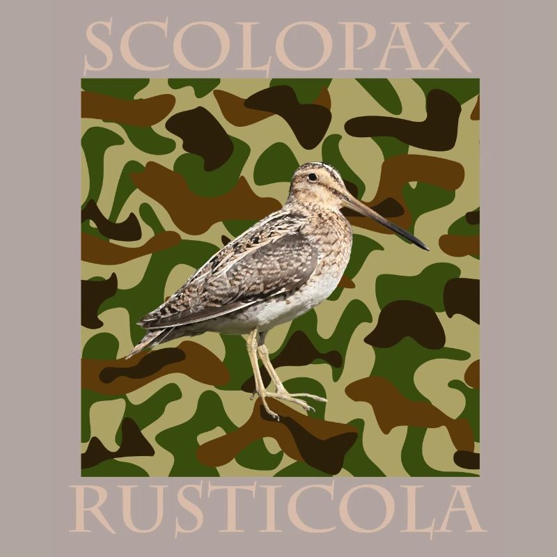 Jagd auf die Scolopax Rusticola Waldschnepfe