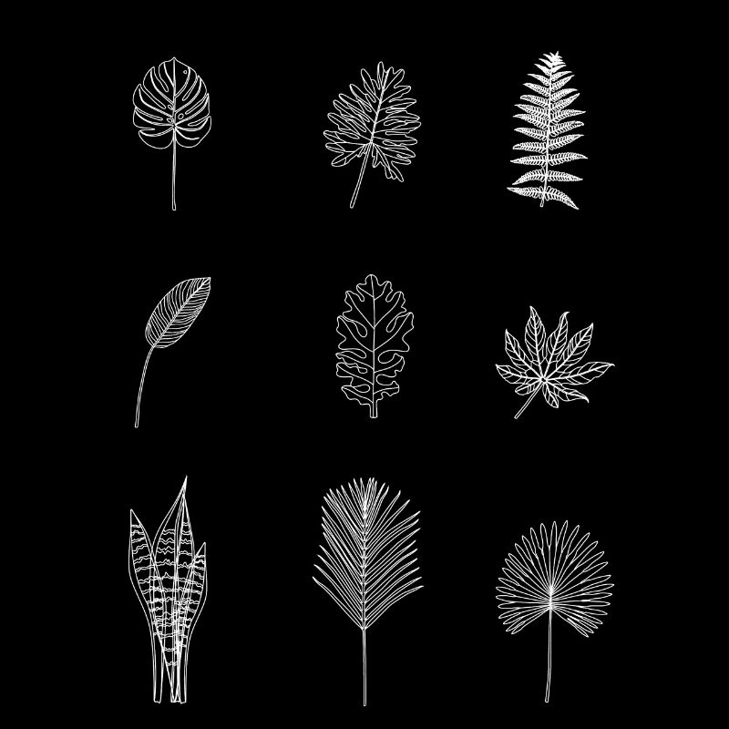 Tropical leaves biologist botanist gift