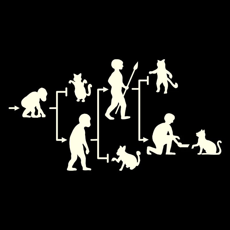 Katze Mensch gelenkte Evolution