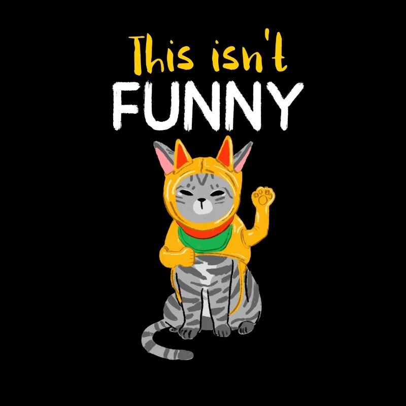 Drôle de chat