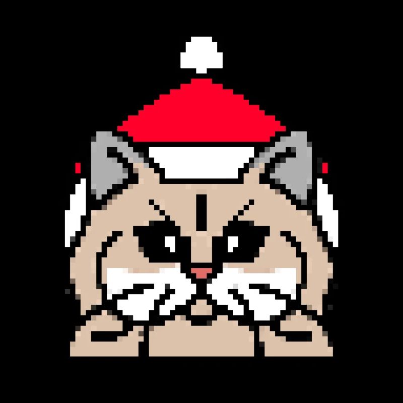 Noël pixelisé persan - Drôle