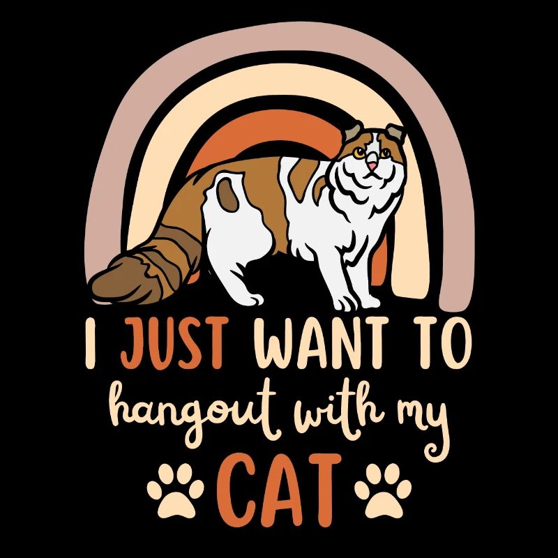 Mignon chat américain Curl