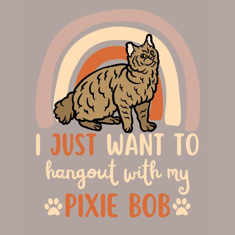 Süße Pixie Bob Katze