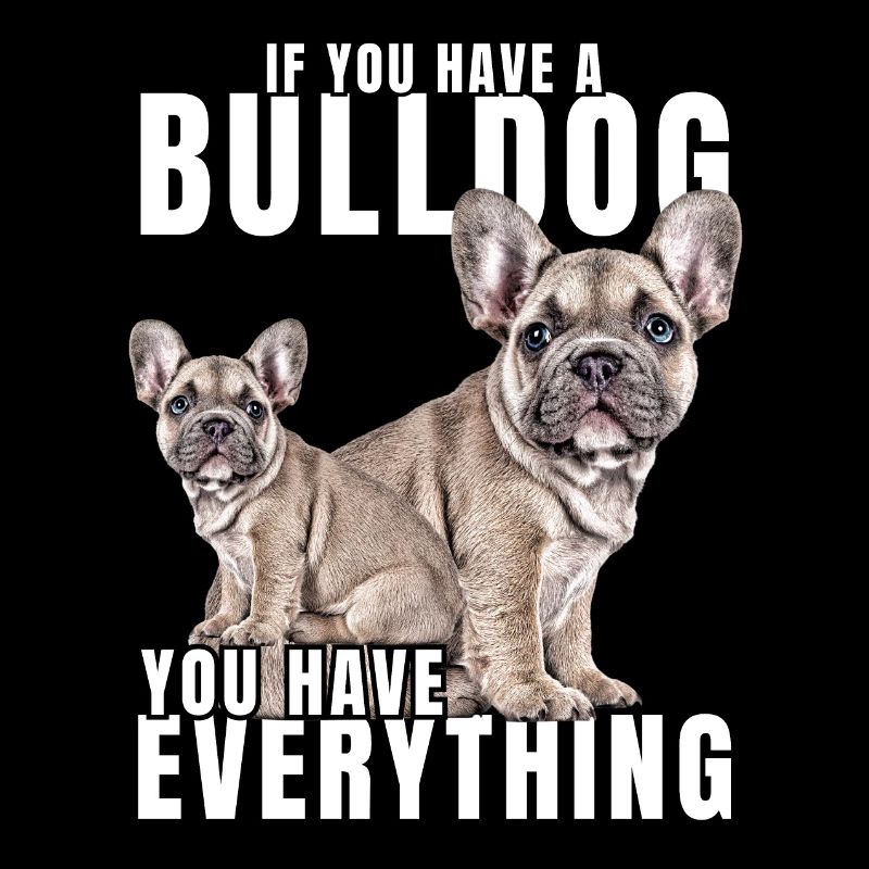 SI VOUS AVEZ UN BOULEDOGUE - bouledogue français