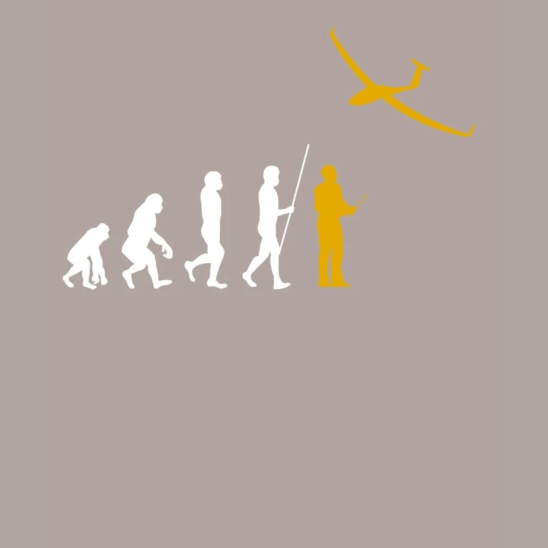 Evolution RC Planeur commandé à distance Modéliser