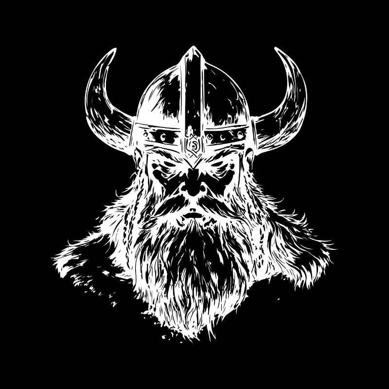 Viking Odin