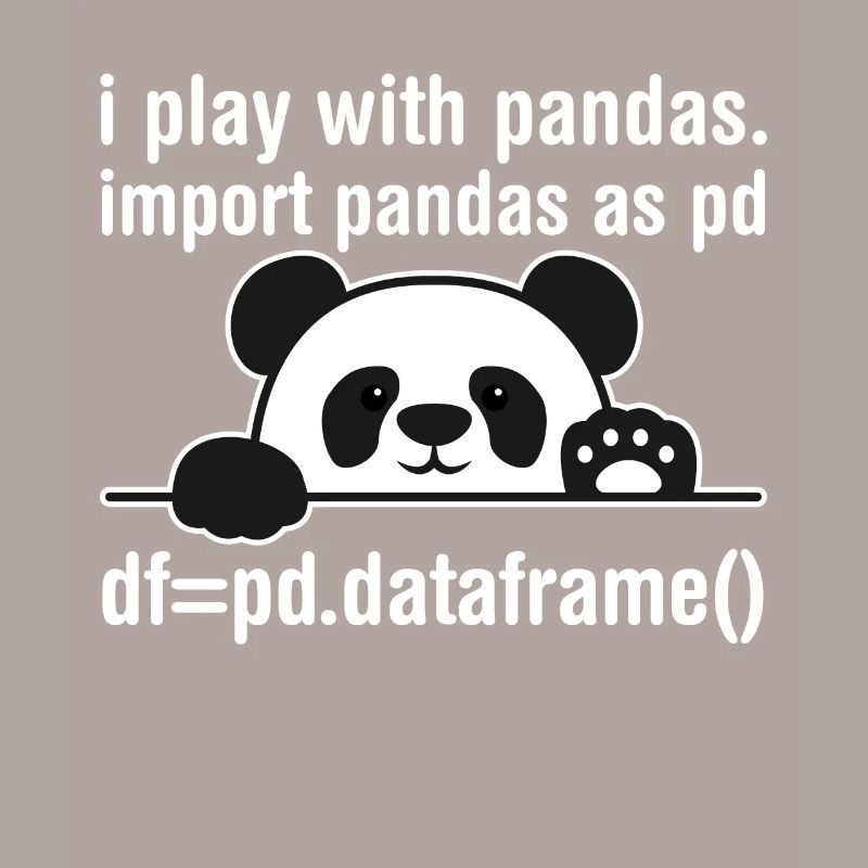 Programmeur Python Programmation panda nerd informatique
