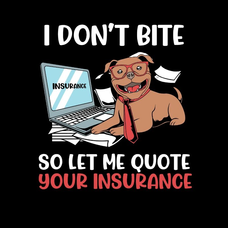 Insurance Insurance Agent Assets
