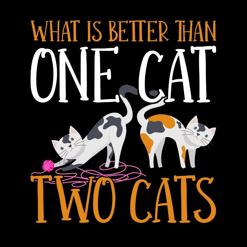Quoi de mieux qu’une cate