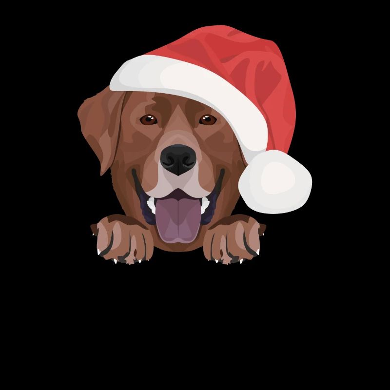 Joyeux Noël Labrador
