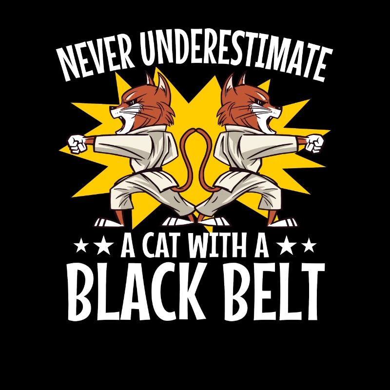 Kampfkunst Schwarzer Gürtel Karate Taekwondo