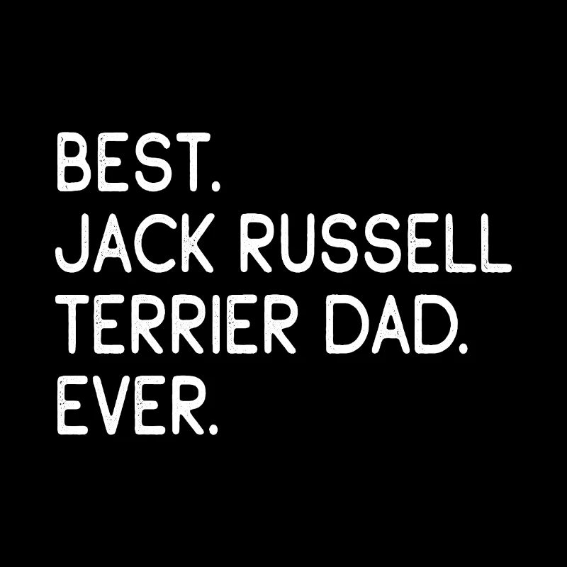 Jack Russell Terrier