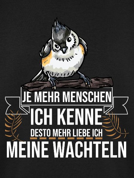 Wachtel Wachteln