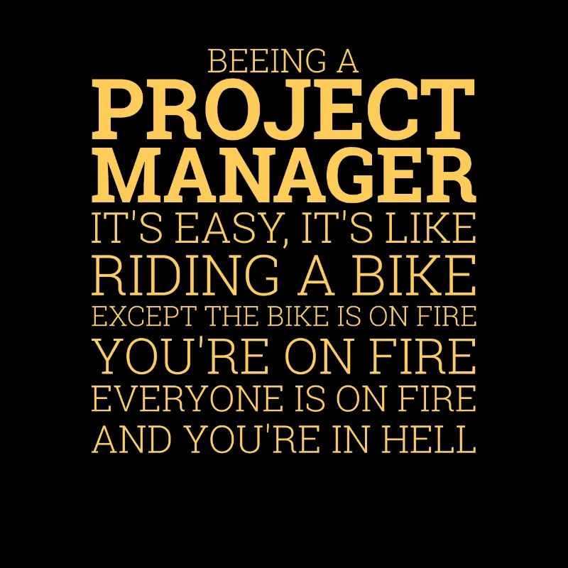 "Project Manager Bike" | "Project Manager"